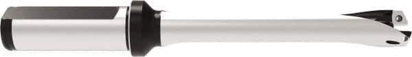 Allied Machine and Engineering - Series 16, 16 to 16.99mm Diam, 20mm Diam Straight Shank with Flange, Straight Flute Spade Drill - 84.9mm Max Depth, 168.2mm OAL, Standard Length, Through Coolant - Eagle Tool & Supply