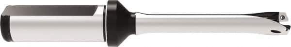 Allied Machine and Engineering - Series 12, 12 to 12.99mm Diam, 20mm Diam Straight Shank with Flange, Straight Flute Spade Drill - 64.9mm Max Depth, 144.7mm OAL, Standard Length, Through Coolant - Eagle Tool & Supply