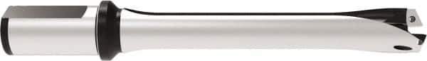 Allied Machine and Engineering - Series 29, 29 to 31.99mm Diam, 32mm Diam Straight Shank with Flange, Straight Flute Spade Drill - 159.9mm Max Depth, 263.7mm OAL, Standard Length, Through Coolant - Eagle Tool & Supply