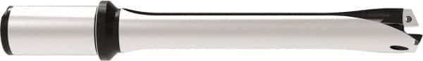 Allied Machine and Engineering - Series 29, 29 to 31.99mm Diam, 32mm Diam Straight Shank with Flange, Straight Flute Spade Drill - 159.9mm Max Depth, 263.7mm OAL, Standard Length, Through Coolant - Eagle Tool & Supply