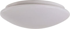 25 Watt, 120-277V, LED Wall Pack Light Fixture Acrylic Lens, Steel Housing