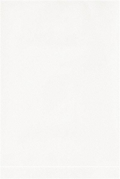 Value Collection - 4 x 6", 2 mil Flat Polybags - White - Eagle Tool & Supply