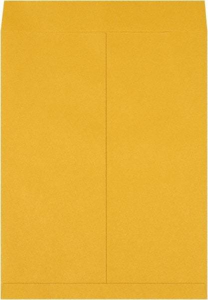Made in USA - 22" Long x 17" Wide Regular Jumbo Envelope - Kraft - Eagle Tool & Supply