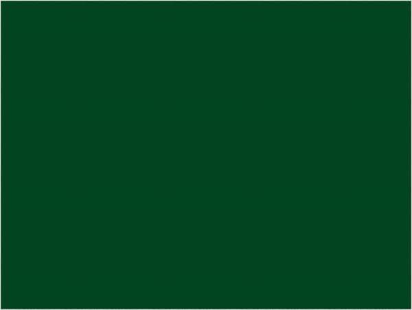 Tape Logic - 4" Long, Green Paper Inventory Labels - For Multi-Use - Eagle Tool & Supply