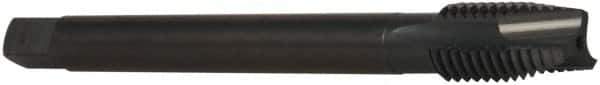 OSG - M12x1.75 Metric Coarse, 3 Flute, Oxide Finish, Vanadium High Speed Steel Spiral Point Tap - Plug Chamfer, Right Hand Thread, 110mm OAL, 1-21/32" Thread Length, 0.367" Shank Diam, 6H Class of Fit, Series 259 - Exact Industrial Supply