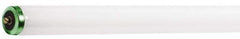 Philips - 56 Watt Fluorescent Tubular Single Pin Lamp - 6,500°K Color Temp, 3,800 Lumens, T12, 12,000 hr Avg Life - Eagle Tool & Supply