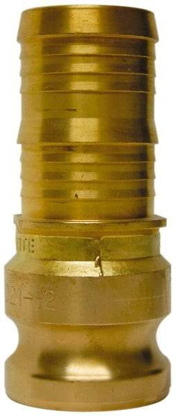 EVER-TITE Coupling Products - 2-1/2" Brass Cam & Groove Suction & Discharge Hose Male Adapter Hose Shank - Part E, 250 Max psi - Eagle Tool & Supply