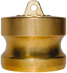 EVER-TITE Coupling Products - 2" Brass Cam & Groove Suction & Discharge Hose Dust Plug For Use with Couplers - Part DP, 350 Max psi - Eagle Tool & Supply