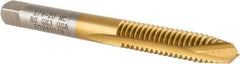 Hertel - 1/4-20 UNC, 2 Flute, TiN Finish, High Speed Steel Spiral Point Tap - Plug Chamfer, Right Hand Thread, 2-1/2" OAL, 3B Class of Fit - Exact Industrial Supply