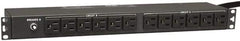 Tripp-Lite - 24 Outlets, 120 VAC30 Amps, 15' Cord, Power Outlet Strip - Rack Mount, 5-15/20R NEMA Configuration, 19" Strip - Eagle Tool & Supply
