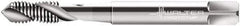 Walter-Prototyp - #6-32 UNC 2 Flute 2B Modified Bottoming Spiral Flute Tap - Cobalt, Bright Finish, 56mm OAL, Right Hand Flute, Right Hand Thread, Series N22516 - Exact Industrial Supply