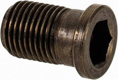 Sandvik Coromant - Torx Plus Cap Screw for Indexables - M2 Thread, Industry Std 5512 090-01, For Use with Assembly Screws - Eagle Tool & Supply