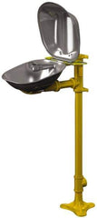 Bradley - Pedestal Mount, Stainless Steel Bowl, Eyewash Station - Eagle Tool & Supply