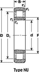 SKF - 25mm Bore Diam, 52mm Outside Diam, 15mm Wide Cylindrical Roller Bearing - 28,600 N Dynamic Capacity, 27,000 Lbs. Static Capacity - Eagle Tool & Supply