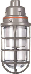 Hubbell Killark - 120 to 277 VAC, 16 Watt, LED Hazardous Location Light Fixture - Corrosion, Dirt, Dust, Heat, Moisture & Vibration Resistant, Aluminum Housing - Eagle Tool & Supply