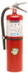 Buckeye Fire - 10 Lb, 4-A:80B:C Rated, Dry Chemical Fire Extinguisher - Eagle Tool & Supply