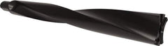 Allied Machine and Engineering - Series APX 70, 10xD, 50mm Shank Diam, Drill Body - 750.3mm Drill Body Length to Flange, W7010H Toolholder, 830.3mm OAL, 750.3mm Drill Body Length, Weldon Flat Shank, Through Coolant - Eagle Tool & Supply