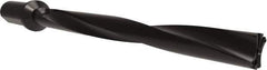 Allied Machine and Engineering - Series APX 38, 10xD, 50mm Shank Diam, Drill Body - 503.9mm Drill Body Length to Flange, W3810H Toolholder, 583.9mm OAL, 503.9mm Drill Body Length, Weldon Flat Shank, Through Coolant - Eagle Tool & Supply