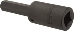Paramount - 1/2" Drive, 1/2" Impact Hex Bit Socket - 1-7/8" Bit Length, 3-5/8" OAL - Eagle Tool & Supply
