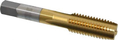 OSG - 5/8-11 UNC 3B 4 Flute TiN Finish High Speed Steel Straight Flute Standard Hand Tap - Plug, Right Hand Thread, 3-13/16" OAL, 1-13/16" Thread Length, H3 Limit, Oversize - Exact Industrial Supply