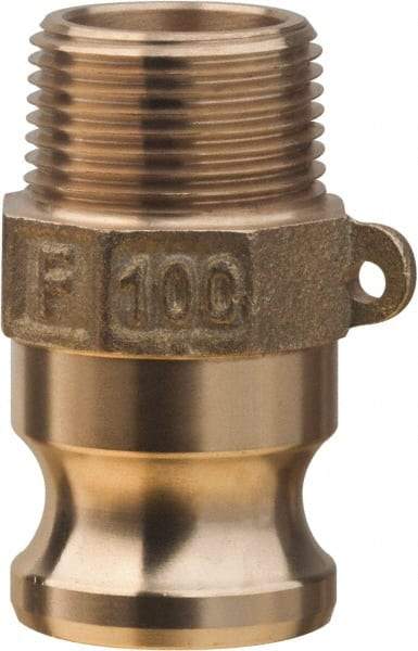 Value Collection - 2" Brass Cam & Groove Suction & Discharge Hose Male Adapter Male NPT Thread - Part F, 2" Thread, 1,000 Max psi - Eagle Tool & Supply