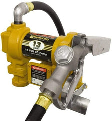 Tuthill - 13 GPM, 3/4" Hose Diam, DC Tank Pump with Manual Nozzle - 1" Inlet, 3/4" Outlet, 12 Volts, 10' Hose Length, 1/4 hp - Eagle Tool & Supply