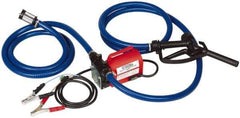 Tuthill - 10 GPM, 3/4" Hose Diam, Pump - 3/4" Inlet, 3/4" Outlet, 12 Volts, 8' Hose Length, 1/5 hp - Eagle Tool & Supply