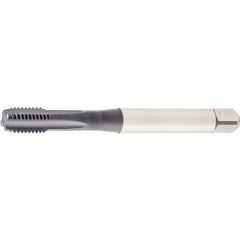 GT425001 M5X0.8 6HX STFL BOTT 371 - Exact Industrial Supply