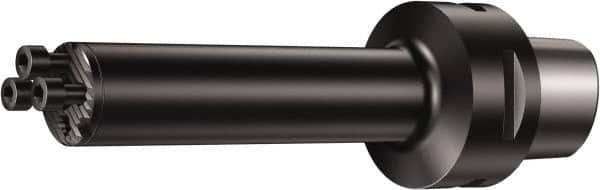 Sandvik Coromant - C4;40 System Size, Modular Tool Holding System Adapter - 173mm Projection, 40mm Body Diam, 197.33mm OAL, Through Coolant - Exact Industrial Supply