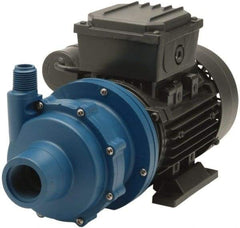 Finish Thompson - Permanent Split Cap Motor, 115 Volt, 2.4 Amp, 1 Phase, 1/4 HP, 3500 RPM, Glass Filled Polypropylene Straight Pump - 1 Inch Inlet, 1/2 Inch Outlet, 12.6 Max Head psi, Glass Filled Polypropylene Impeller, Ceramic Shaft, FKM Seal - Eagle Tool & Supply
