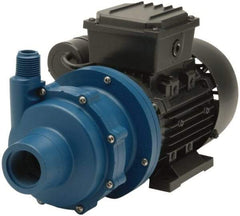 Finish Thompson - Permanent Split Cap Motor, 115 Volt, 1.55 Amp, 1 Phase, 1/8 HP, 3500 RPM, Glass Filled Polypropylene Straight Pump - 1 Inch Inlet, 1/2 Inch Outlet, 8.7 Max Head psi, Glass Filled Polypropylene Impeller, Ceramic Shaft, FKM Seal - Eagle Tool & Supply