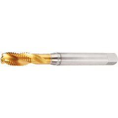 GT025004 M6X1 6H RHSF SBOT 371 - Exact Industrial Supply
