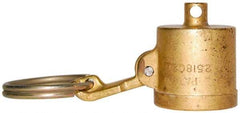 EVER-TITE Coupling Products - 1" Brass Cam & Groove Suction & Discharge Hose Dust Cap For Use with Adapters - Part DC, 350 Max psi - Eagle Tool & Supply