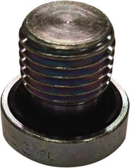Parker - 1-1/2 Male Thread, Steel Industrial Pipe Hollow Hex Plug - MBSPP, 4,500 psi - Eagle Tool & Supply