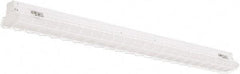Philips - 48" Long x 3" High, Steel Light Fixture Wire Guard - For Use with PFSI Strips - Eagle Tool & Supply