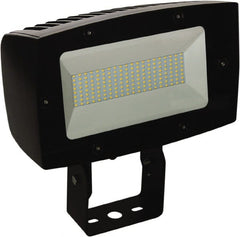 Philips - Floodlight Fixtures Mounting Type: Trunion Mount Housing Color: Bronze - Eagle Tool & Supply