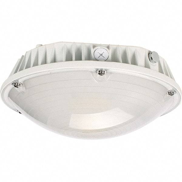 Eiko Global - 60 Watt LED Entry Light - Frosted Polycarbonate Lens, Mogul Base, Pendant & Surface Mount, 120 to 277 Volts, IP65 Ingress Protection, 290mm Long x 114mm High - Eagle Tool & Supply