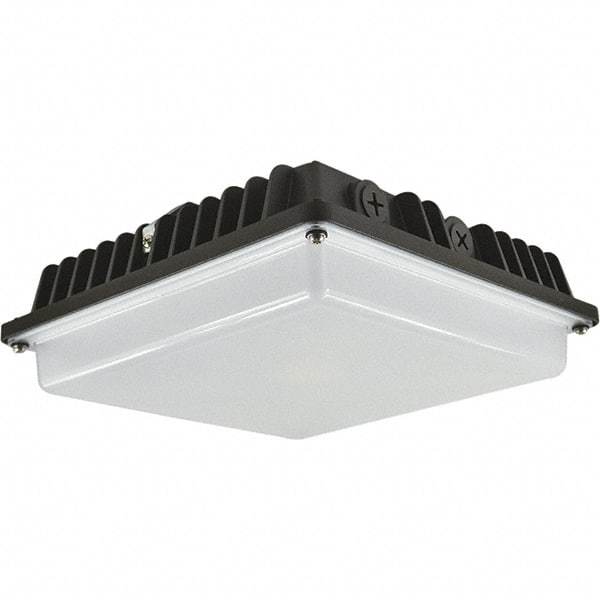 Eiko Global - 57 Watt LED Entry Light - Frosted Polycarbonate Lens, Mogul Base, Pendant & Surface Mount, 120 to 277 Volts, IP65 Ingress Protection, 261.4mm Long x 99mm High - Eagle Tool & Supply