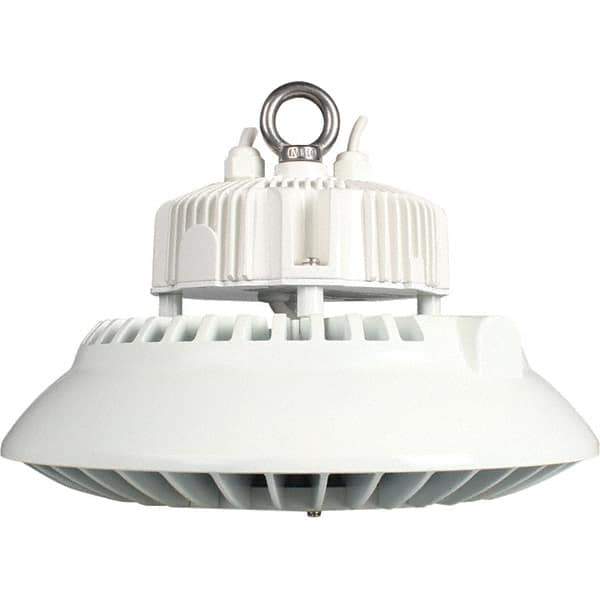 Eiko Global - 1 Lamp, 200 Watts, LED, High Bay Fixture - 250mm High x 11.81" Wide, 120-277 Volt, Steel Housing - Eagle Tool & Supply