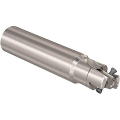 Seco - 25mm Cut Diam, 12mm Max Depth of Cut, 25mm Shank Diam, 170mm OAL, Indexable Square Shoulder Slot Milling End Mill - LOEX12 Inserts, Straight Shank, 90° Lead Angle, Through Coolant, Series 217.94-12 - Eagle Tool & Supply