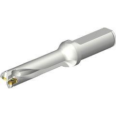 Sandvik Coromant - Indexable Insert Drills; Drill Style: DS20 ; Drill Diameter (mm): 16.50 ; Maximum Drill Depth (mm): 66.47 ; Shank Type: Straight ; Shank Diameter (mm): 20.0000 ; Cutting Direction: Right Hand - Exact Industrial Supply