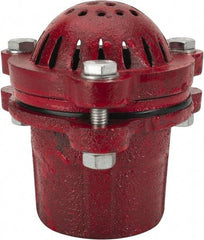 Value Collection - 2" Hose, Foot Valve - Cast Iron - Eagle Tool & Supply
