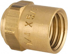 Dixon Valve & Coupling - Reusable Hose Hose Ferrule - 1/4" Hose ID x 5/8" Hose OD - Eagle Tool & Supply