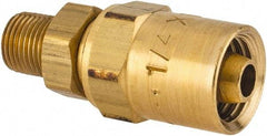 Dixon Valve & Coupling - 1/8 NPTF, Reusable Hose Male Fitting - 1/4" Hose ID x 1/2" Hose OD - Eagle Tool & Supply