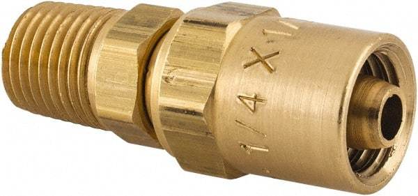 Dixon Valve & Coupling - 1/4 NPTF, Reusable Hose Male Fitting - 1/4" Hose ID x 1/2" Hose OD - Eagle Tool & Supply