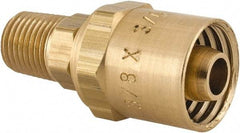 Dixon Valve & Coupling - 1/4 NPTF, Reusable Hose Male Fitting - 3/8" Hose ID x 3/4" Hose OD - Eagle Tool & Supply