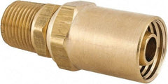 Dixon Valve & Coupling - 1/2 NPTF, Reusable Hose Male Fitting - 1/2" Hose ID x 7/8" Hose OD - Eagle Tool & Supply