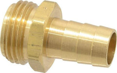 Dixon Valve & Coupling - 3/4 NH Garden Hose Fitting - Brass, Short Shank Male Connector - Eagle Tool & Supply