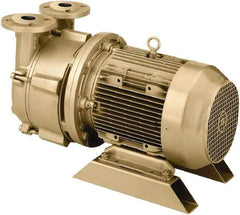 DEKKER Vacuum Technologies - 29 Hg Max, 2-1/2" ANSI 150# RF Flanged Inlet & Discharge, Single Stage Liquid Ring Vaccum Pump - 150 CFM, 10 hp, Cast Iron Housing, 316 Stainless Steel Impeller, 1,750 RPM, 230/460 Volts - Eagle Tool & Supply