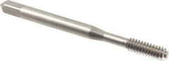 Balax - #10-24 UNC H5 Thread Limit Bottoming Thread Forming Tap - Cobalt, Bright Finish, 2-3/8" OAL, Series BXOTL - Eagle Tool & Supply